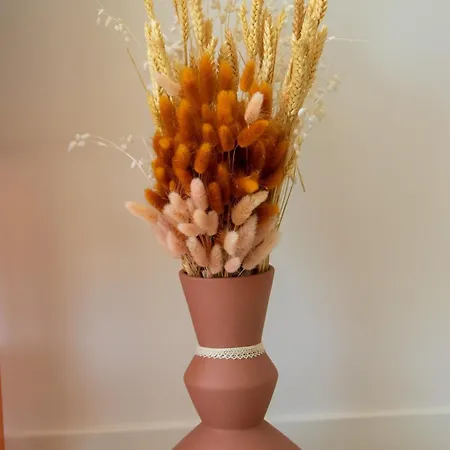 La Bulle, Cocon Douillet Renove *