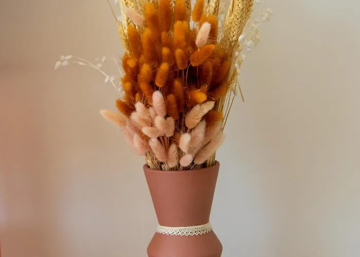 La Bulle, Cocon Douillet Renove *